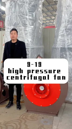 Factory Sale Workshop 9