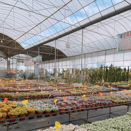 Side and Top Ventilation System for Factory Greenhouse