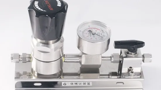 Argon Support Installation Distribution Precision Pressure 316L System Gas Control Panel 