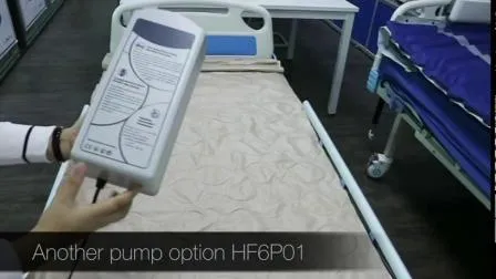 Alternating Pressure Pads with Electric Pump Overlay System with End Flaps 